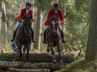 Spr Jagt i Tisvilde 6